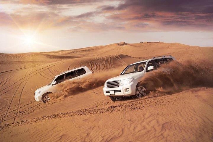 Qatar Desert Safari Adventure Experience.