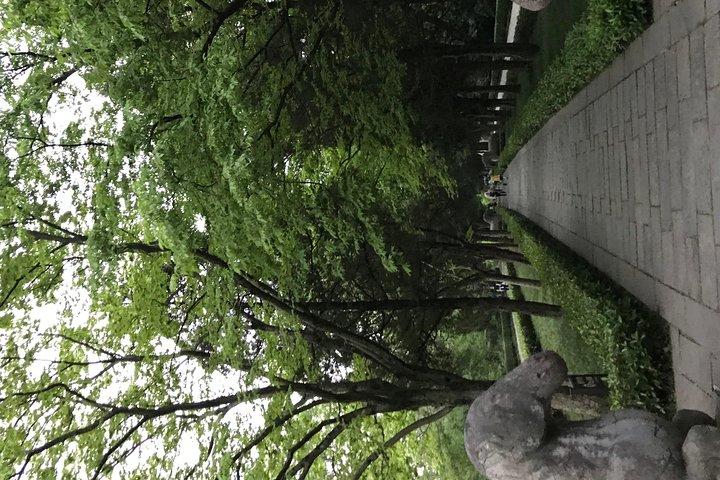 Wandern Nanjing auf meinem Auto