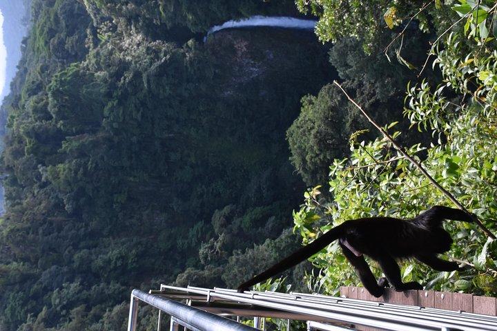 Ponts suspendus du parc Mistico et cascade La Fortuna | Meilleurs circuits pour les familles