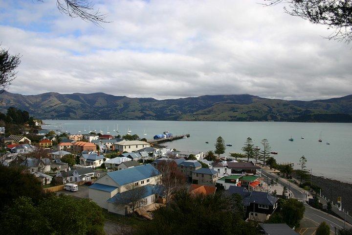 Akaroa Shore Excursion: Akaroa Harbour and Sheep Farm Local Tour