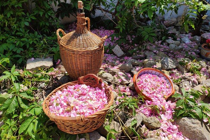Taller de rosas y levadura de yogur auténtico