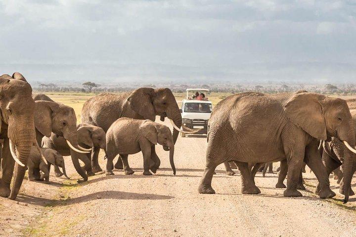 4 Days Amboseli, Tsavo West Tsavo East Luxury Safari (MINIMUM 2 PAX)