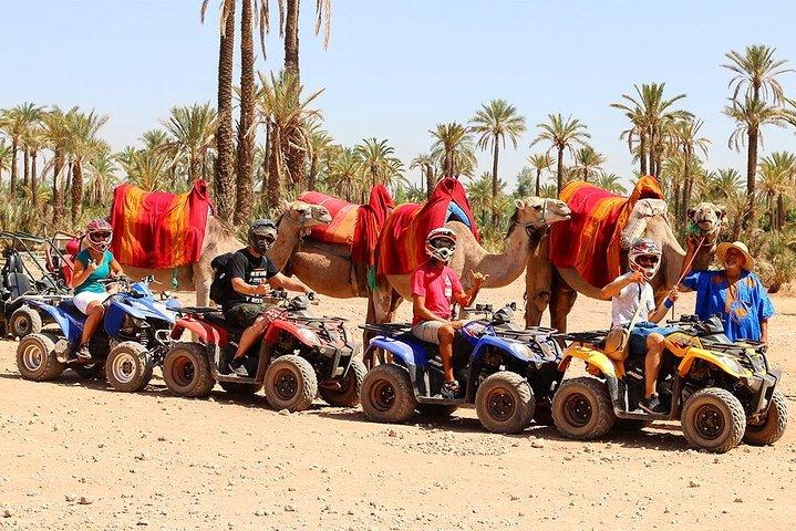 Camel Ride i Marrakech öken palmgrove