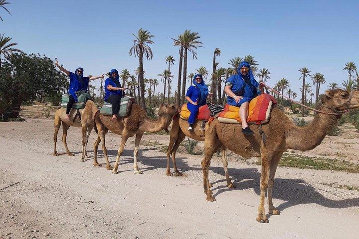 Camel Ride i Marrakech öken palmgrove