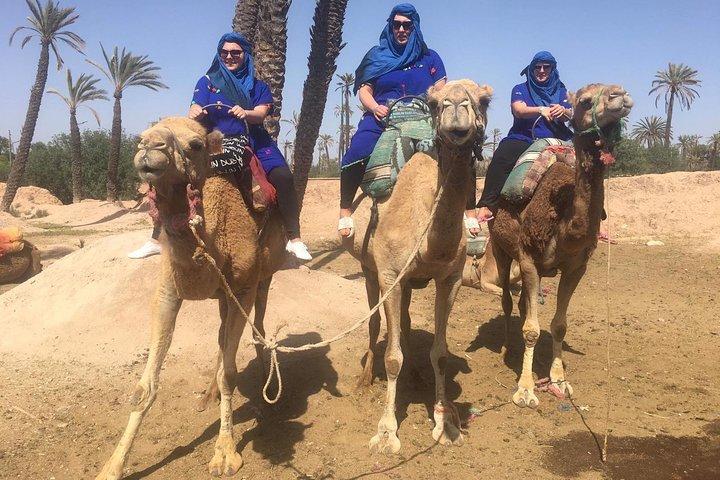 Camel Ride i Marrakech öken palmgrove