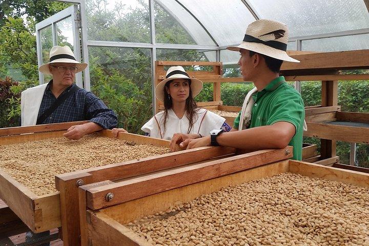 Kaffe och kultur i Santa Rosa de Cabal