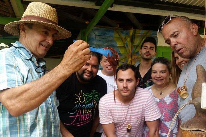 Chocolate Tour and tropical Fruits