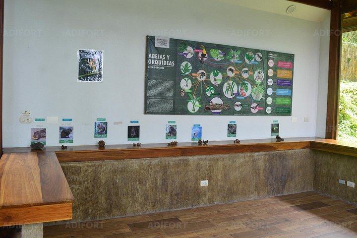 Skip-the-Line La Fortuna Waterfall Admission Ticket
