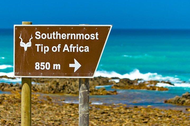 Tour di 5 giorni sulla Garden Route: da Port Elizabeth a Città del Capo