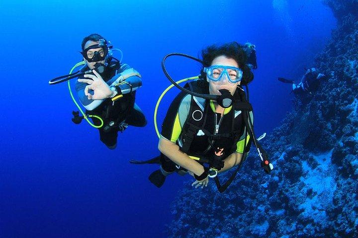 Tauchen für Anfänger - Hurghada