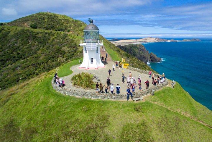 Tour naar Nieuw-Zeeland in het verre noorden inclusief 90 mijl strand en Cape Reinga vanuit Paihia