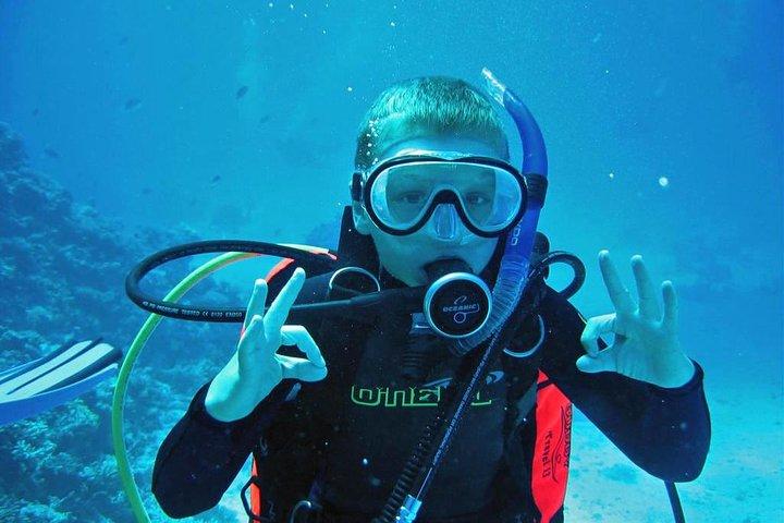 Privat heldags snorklingstur till Utopia Island från Luxor