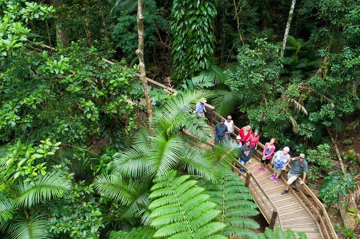 2 Day Daintree Rainforest and Outback Tour