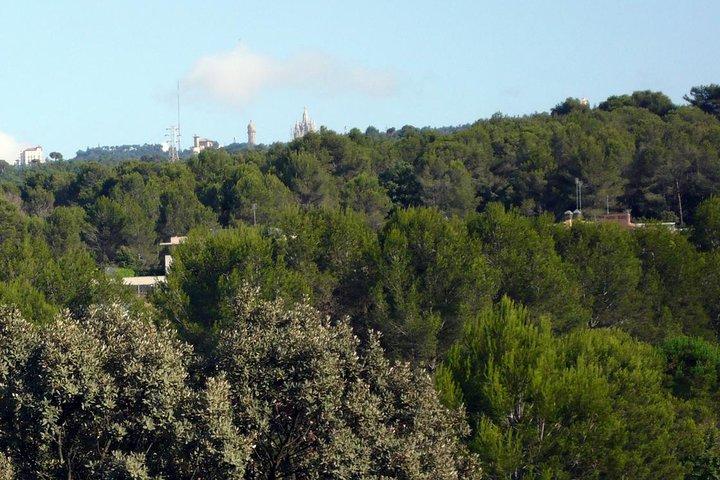 Barcelona Tour kontraster 4 timer - Lille gruppe afhentningshotel fra Barcelona