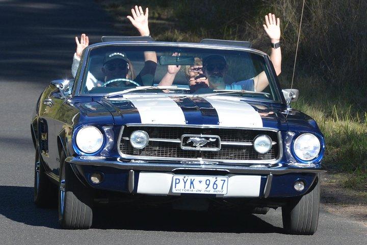 シドニーのシックス ブリッジ - ヴィンテージ カーの乗車体験