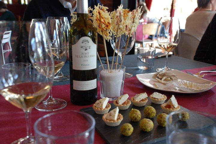 WINE TOUR PRIORAT: Visita 2 migliori cantine, degustazione di vini e pranzo gourmet