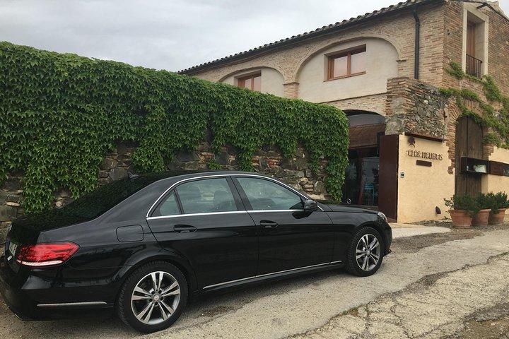 WINE TOUR PRIORAT: Visita 2 migliori cantine, degustazione di vini e pranzo gourmet
