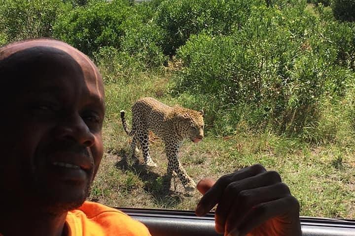 5-dagars migrationssafari