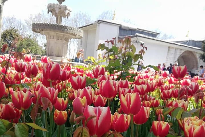 Most famous sites of Istanbul
