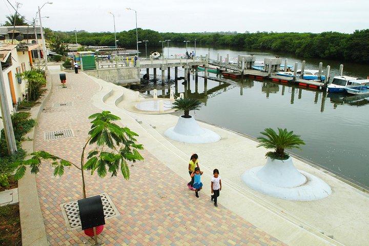 グアヤキルからのPuerto El Morroでのイルカウォッチング体験
