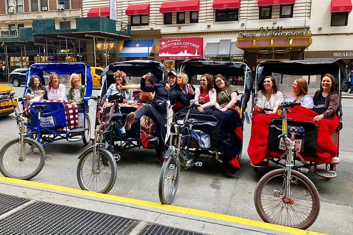 Central Park Private Pedicab Tour for 1 Hour
