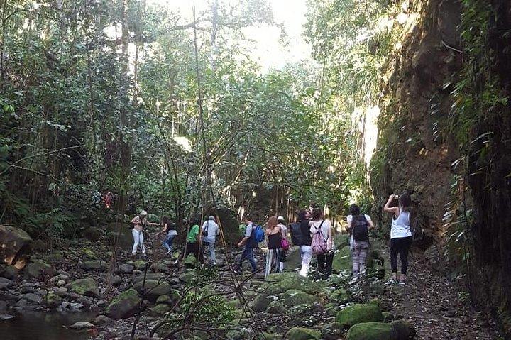 Halbtägige Regenwaldtour durch St. Kitts