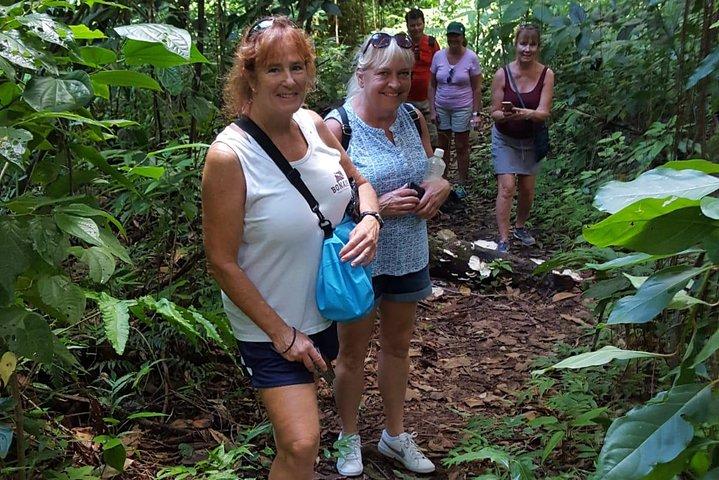Halbtägige Regenwaldtour durch St. Kitts