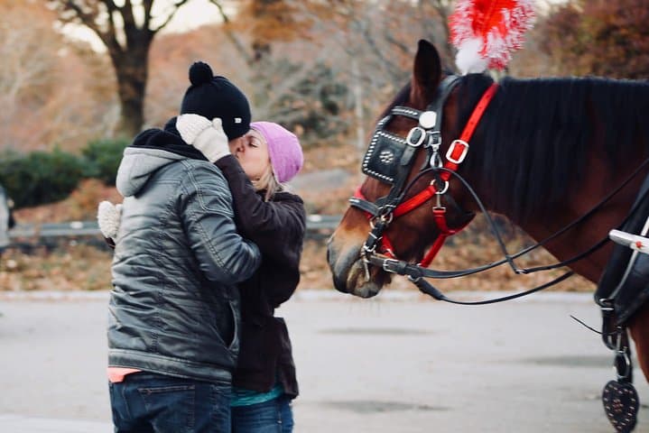 60 min surprise proposal carriage ride