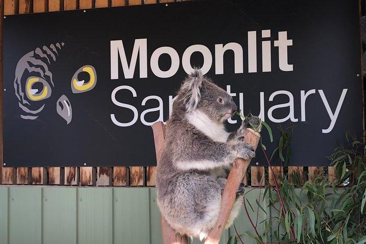 Excursión de un día por la tarde a Phillip Island para grupos pequeños desde Melbourne