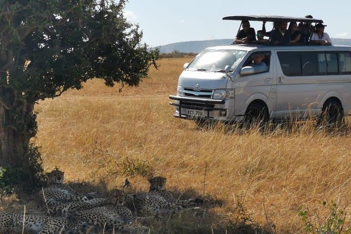 7 Days Amboseli, Naivasha, Maasai Mara and Lake Nakuru game parks