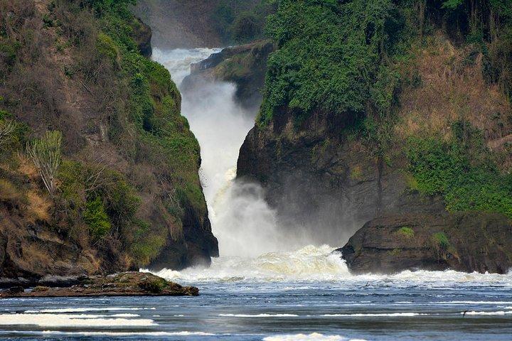 3 Tage Murchison Falls Wildlife Safari