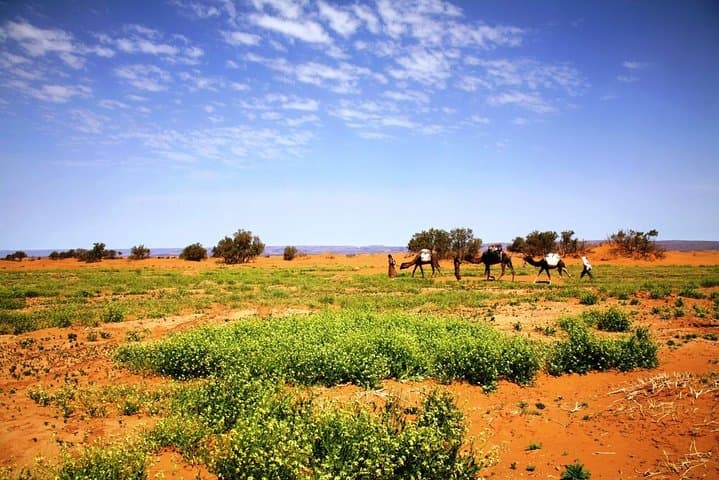 3-Day Private Morocco Desert Tour from Agadir to Erg Chigaga Dunes