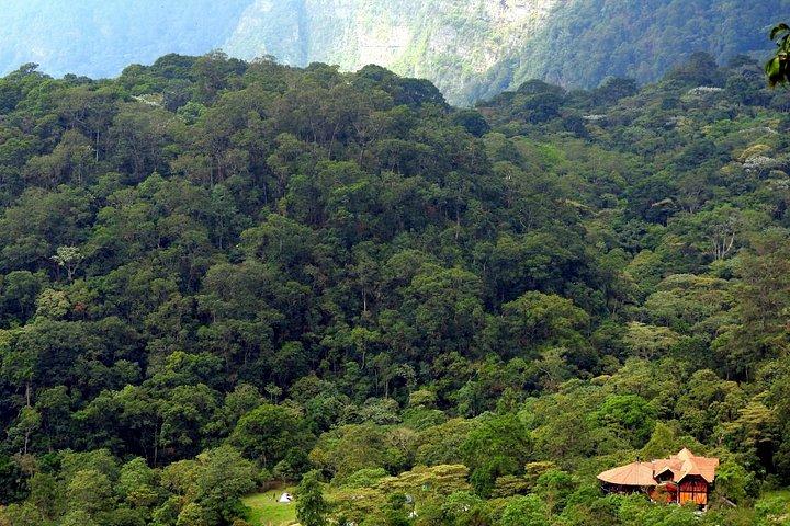 Birdwatching Private Tour at Chicaque Natural Park