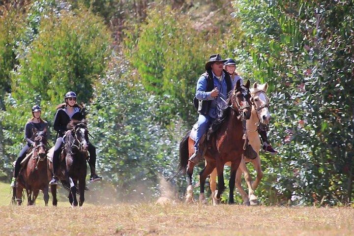 乗馬神秘ツアー月神殿＆チャカンマウンテン