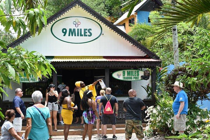 Admisión a las nueve millas de Bob Marley y visita guiada desde Montego Bay