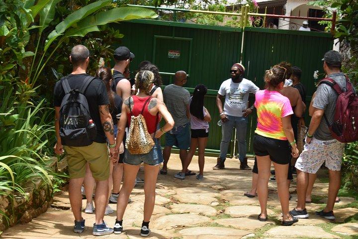 Bob Marley's Nine Mile Admission and Guided Tour de Montego Bay