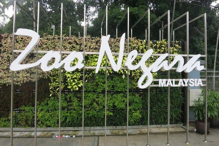 Nationaler Zoo mit Riesenpanda