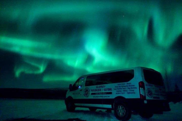 Noorderlicht & poolcirkeltour