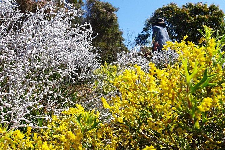 Spring Wildflower Private Day Tours