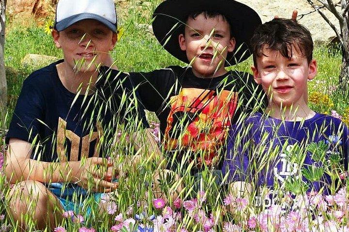 Spring Wildflower Private Day Tours