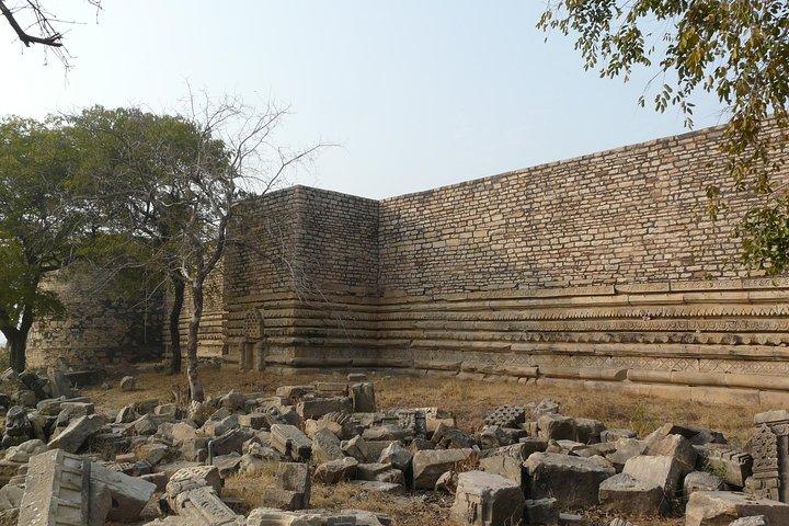 Tour di un giorno intero agli antichi templi di Garhi Padavali, Mitavali e Bateshwar