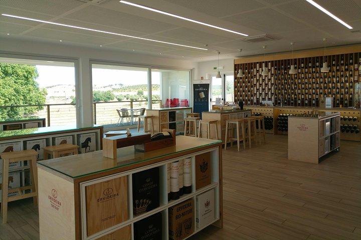 Évora, Wine Tasting and Monsaraz Village 10H - from Lisbon