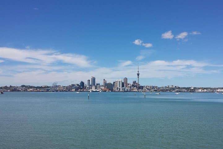 Auckland City Small-Group Morning Discovery Tour