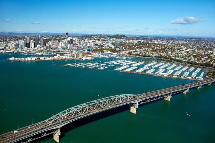 Auckland City Small-Group Morning Discovery Tour