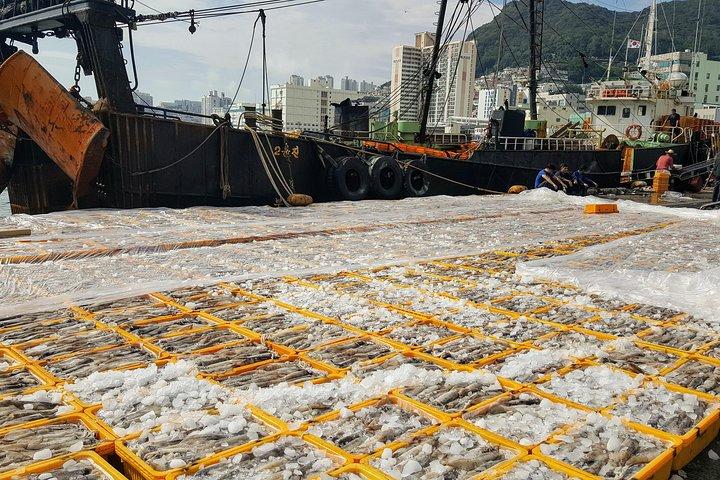 Excursion à Busan Shore; visite privée de la ville