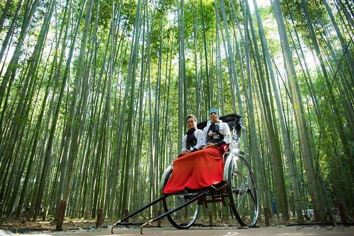 Rikscha-Tour durch Kyoto Arashiyama mit Bambuswald