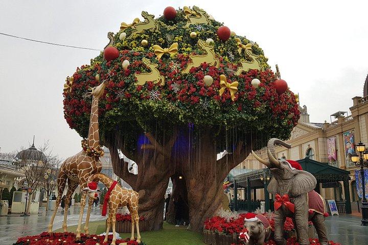Everland Private Shuttle "Total Private Tour: More Members Less Cost"
