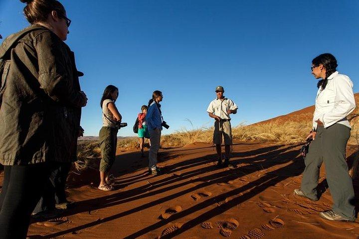 Safari de camping económico de 3 días en Sossusvlei
