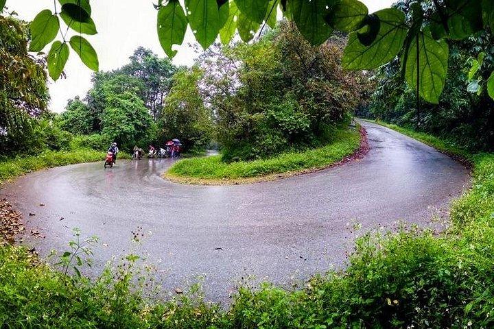 バヴィ国立公園プライベートツアー：観光とジャングルハイキング