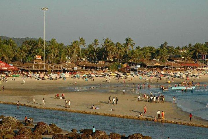 North Goa One Day Tour